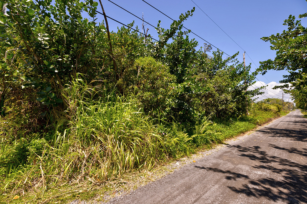 Amau Rd Property Photo 5