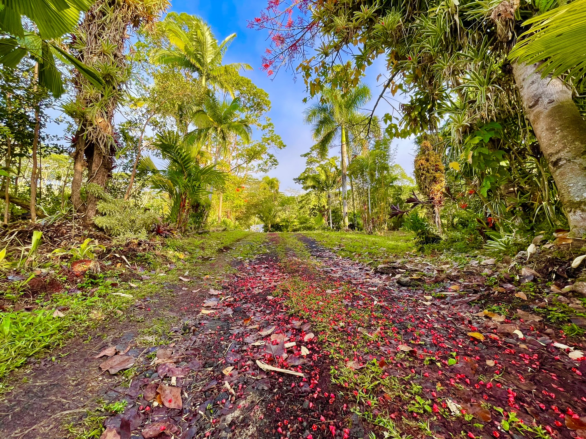 13-3980 PAHOA KALAPANA RD