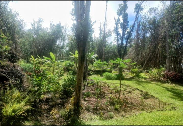 Molokai St Property Photo 1