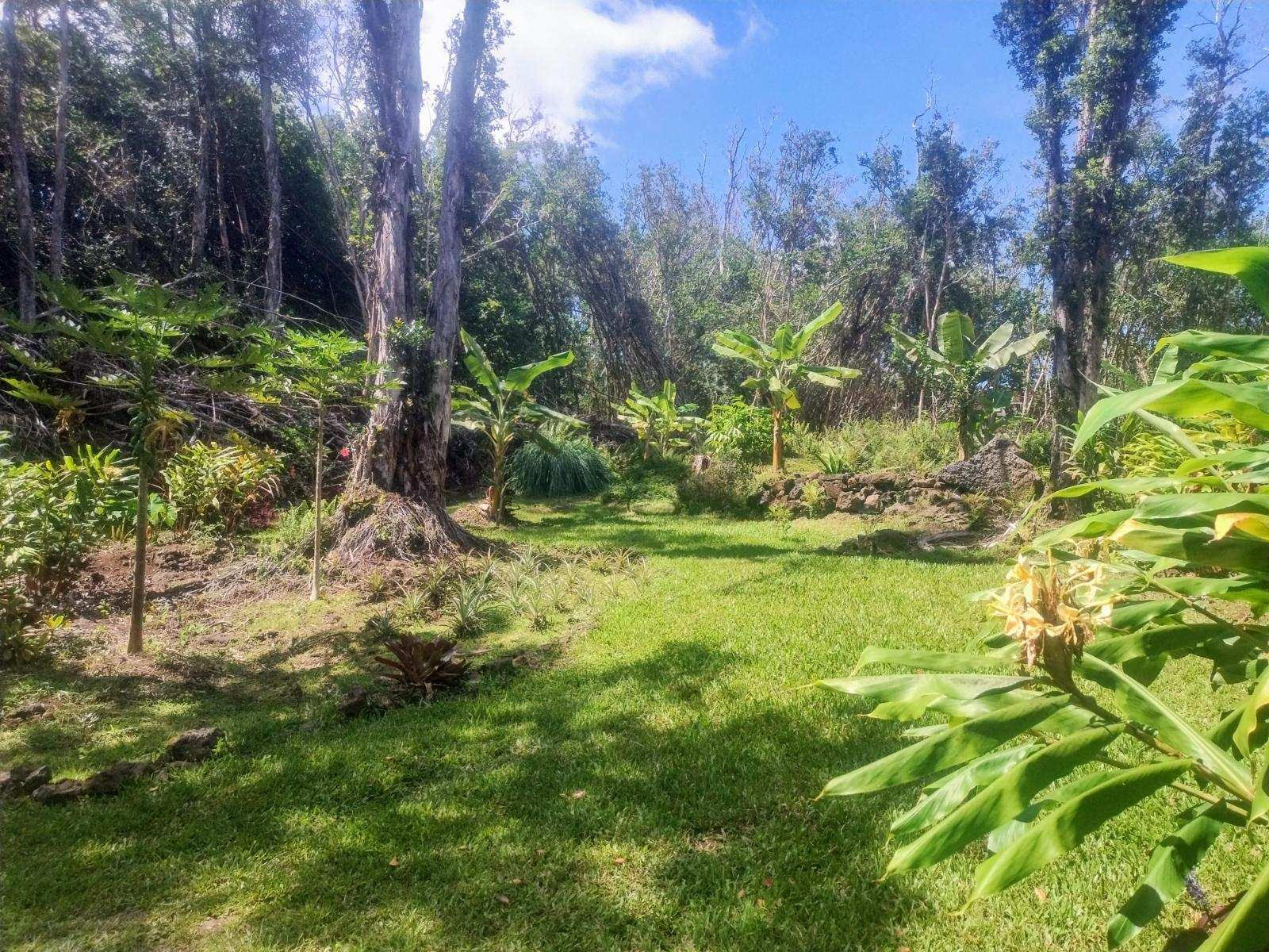 Molokai St Property Photo 3