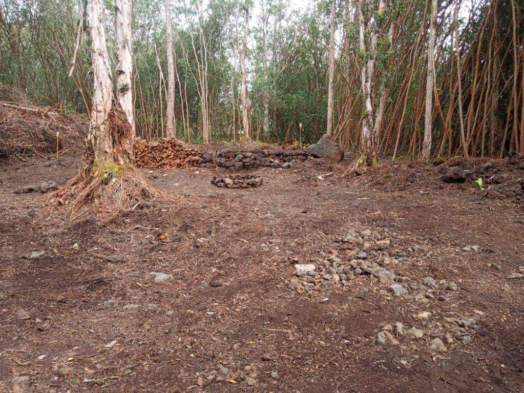 Molokai St Property Photo 4