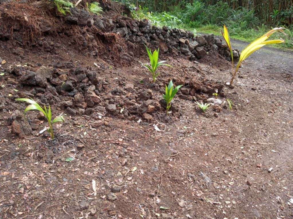 Molokai St Property Photo 6