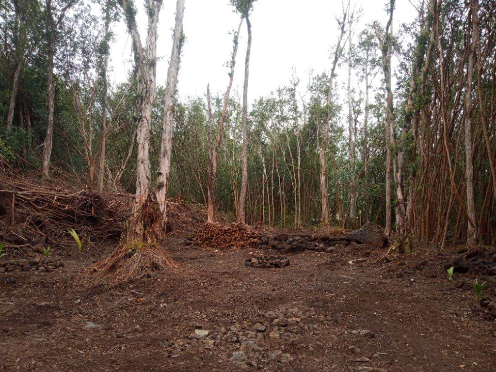 Molokai St Property Photo 7