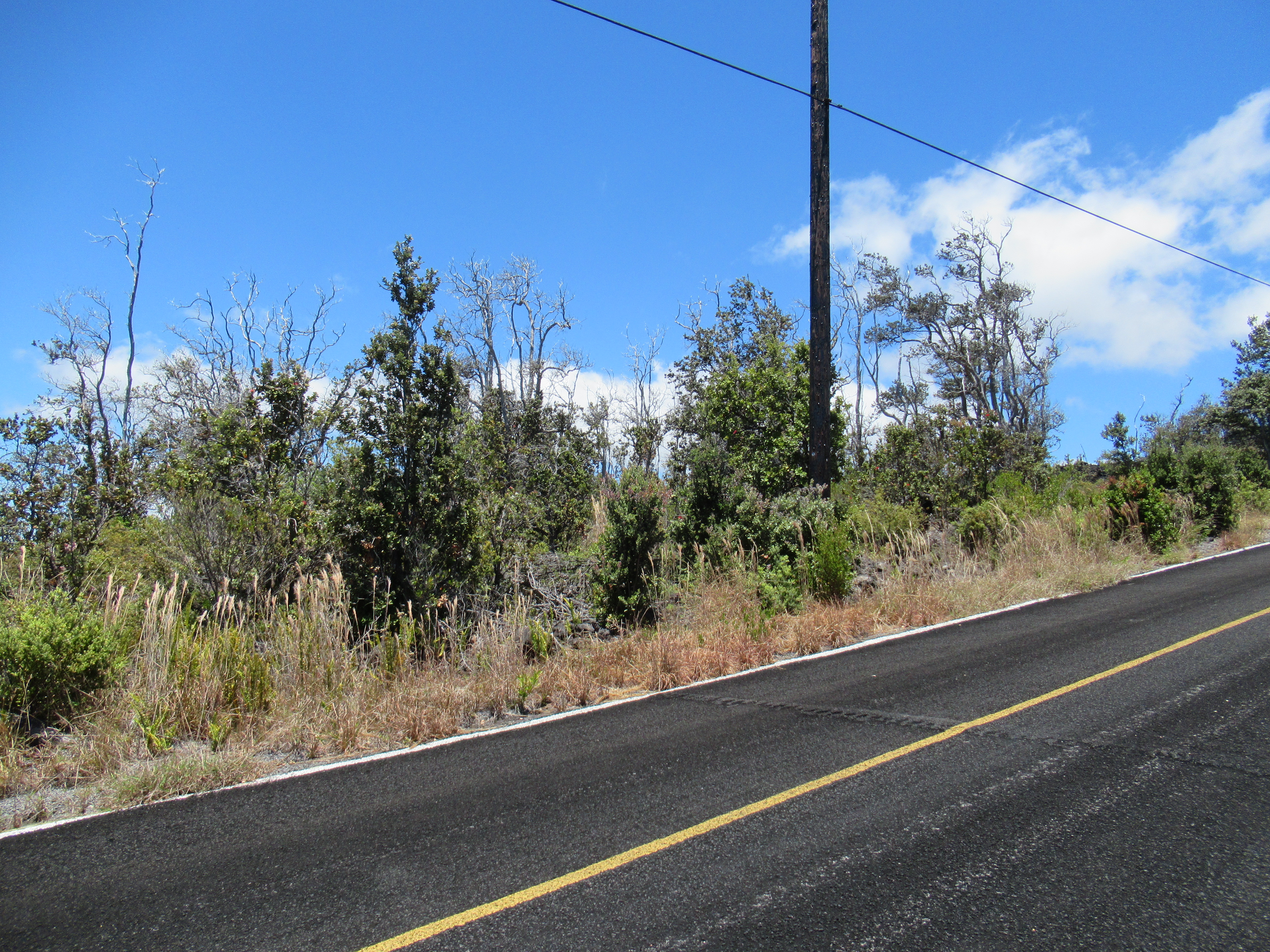 Pineapple Pkwy Property Photo 3