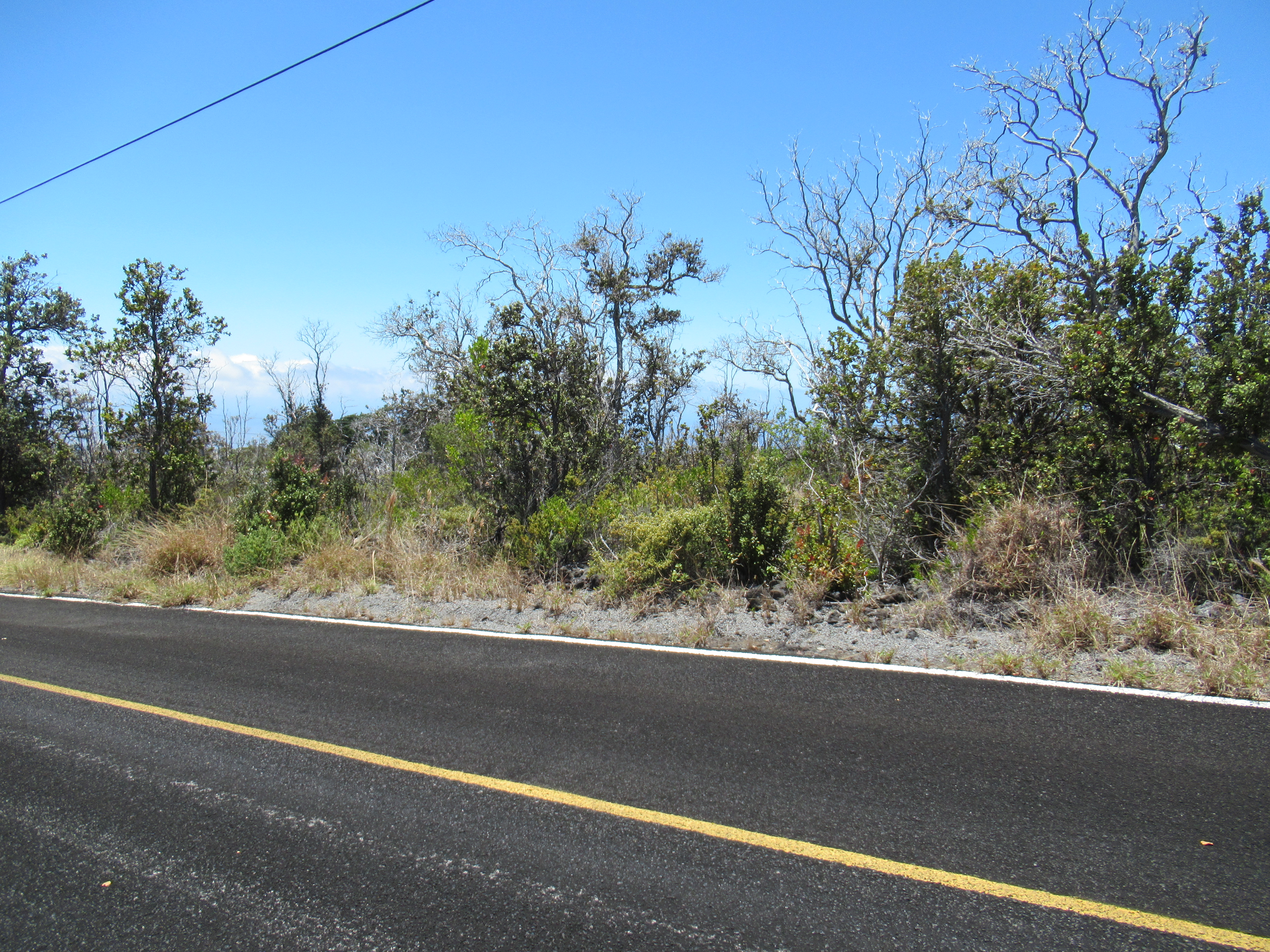 Pineapple Pkwy Property Photo 3