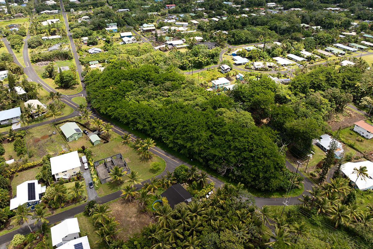 Papai St Property Photo 4
