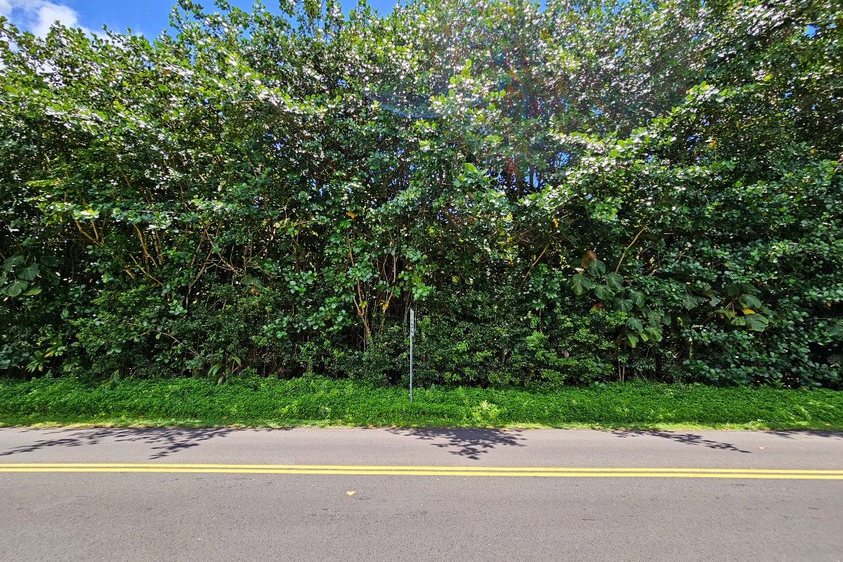 Papai St Property Photo 11