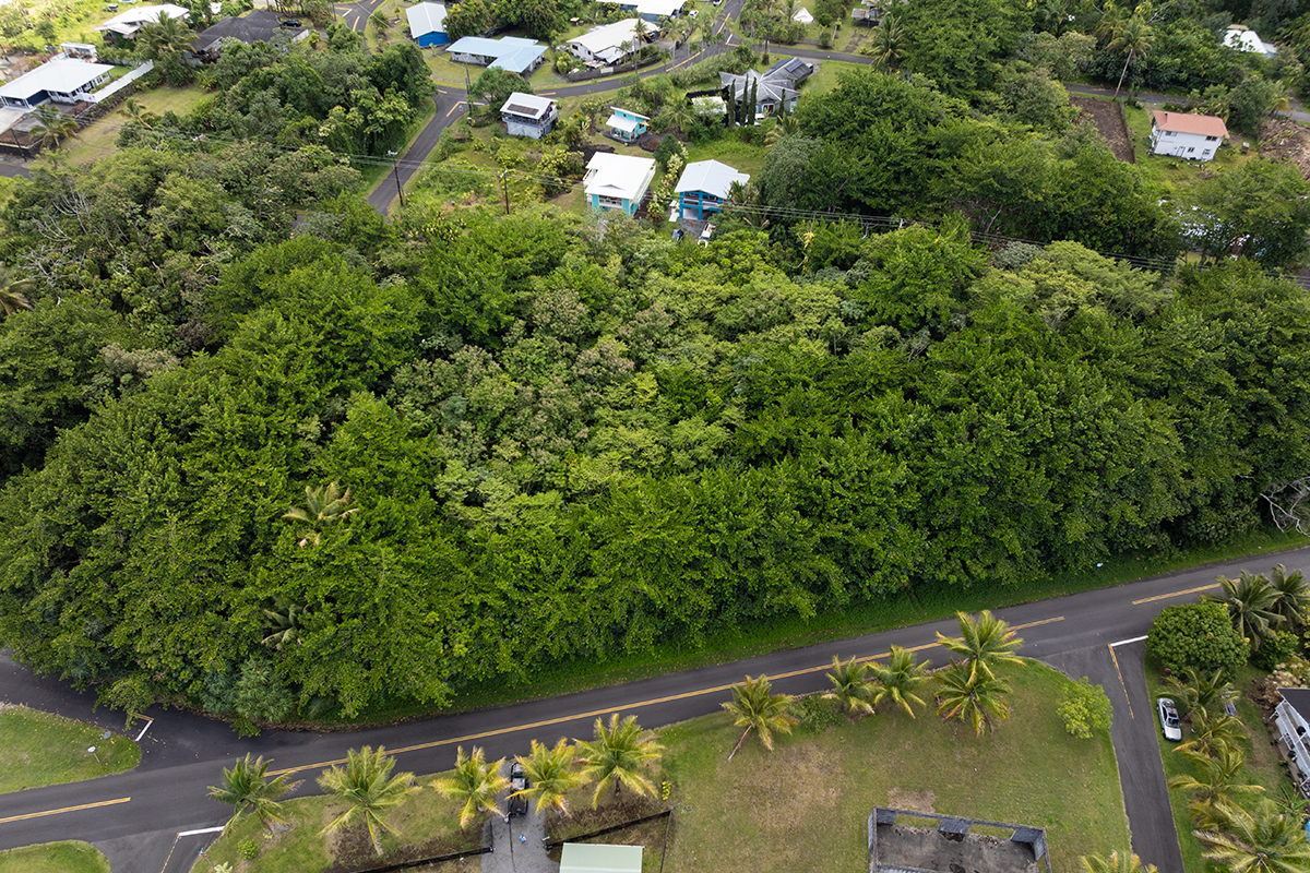 Papai St Property Photo 8