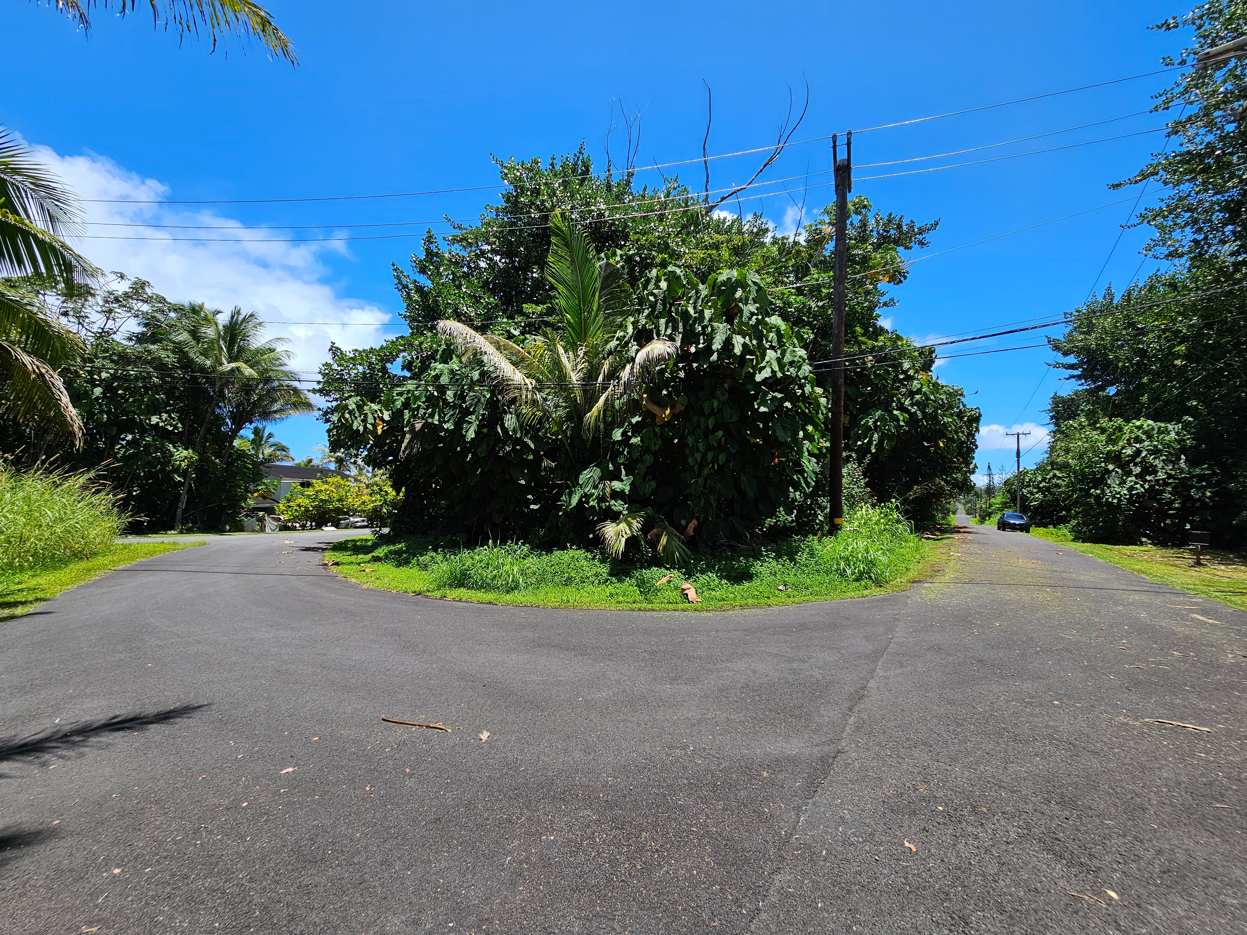 Papai St Property Photo