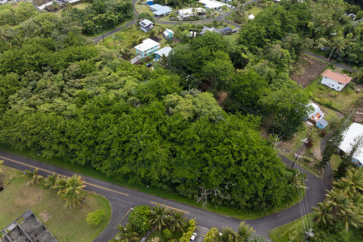 Papai St Property Photo 3