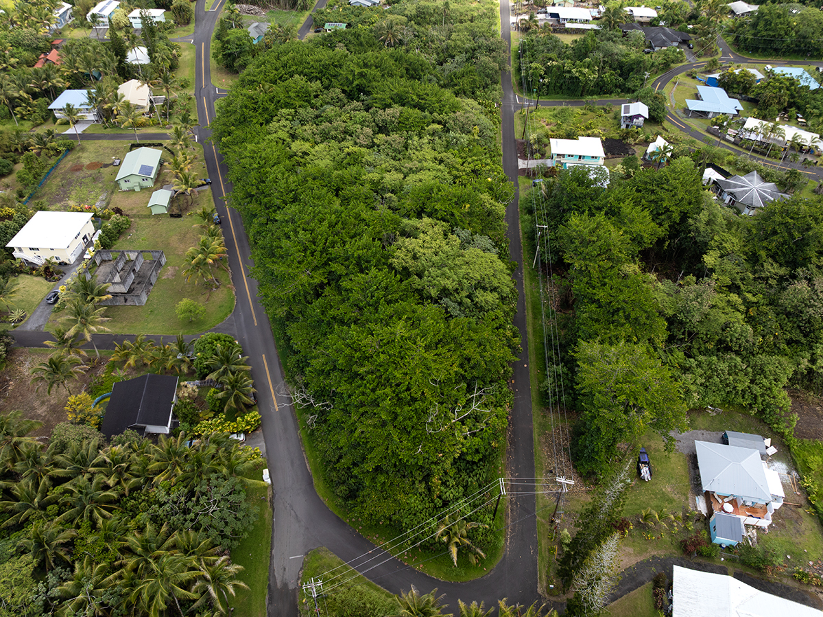 Papai St Property Photo 4