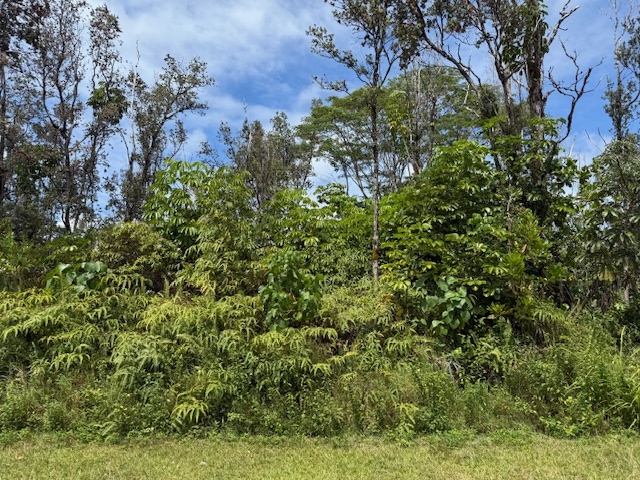 KUMU ST Property Photo 1
