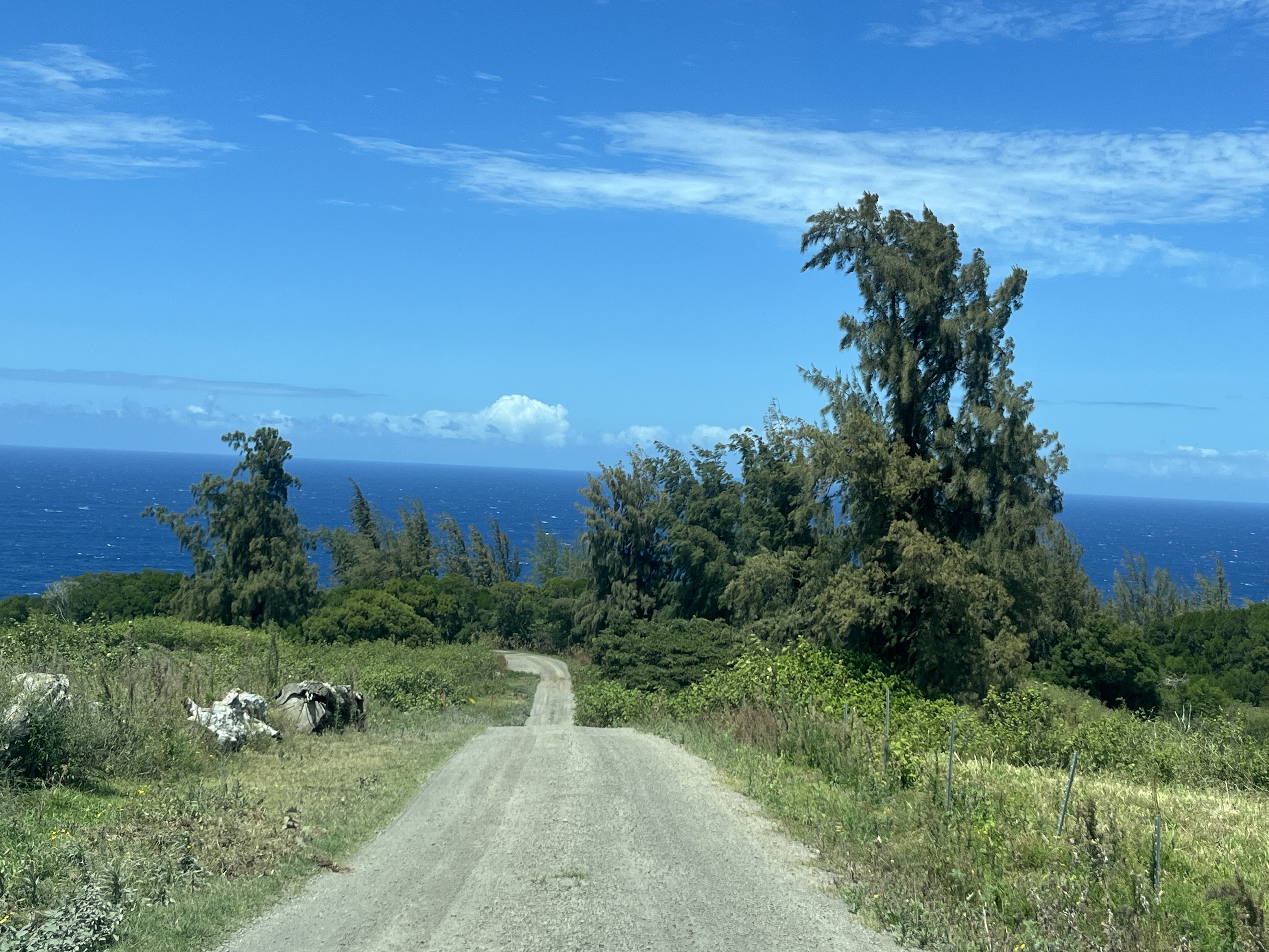 45-5060 Nanaina Kai Road Property Photo 11