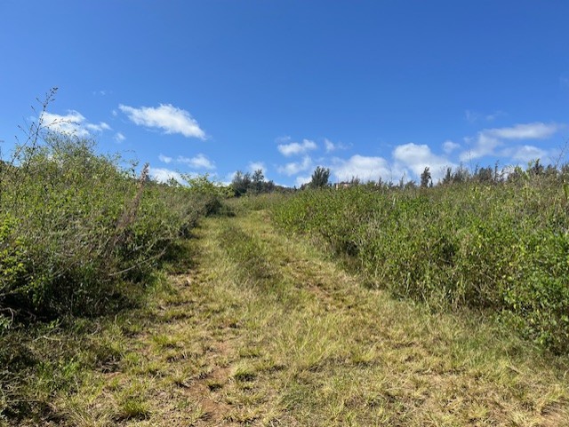 45-5060 Nanaina Kai Road Property Photo 14