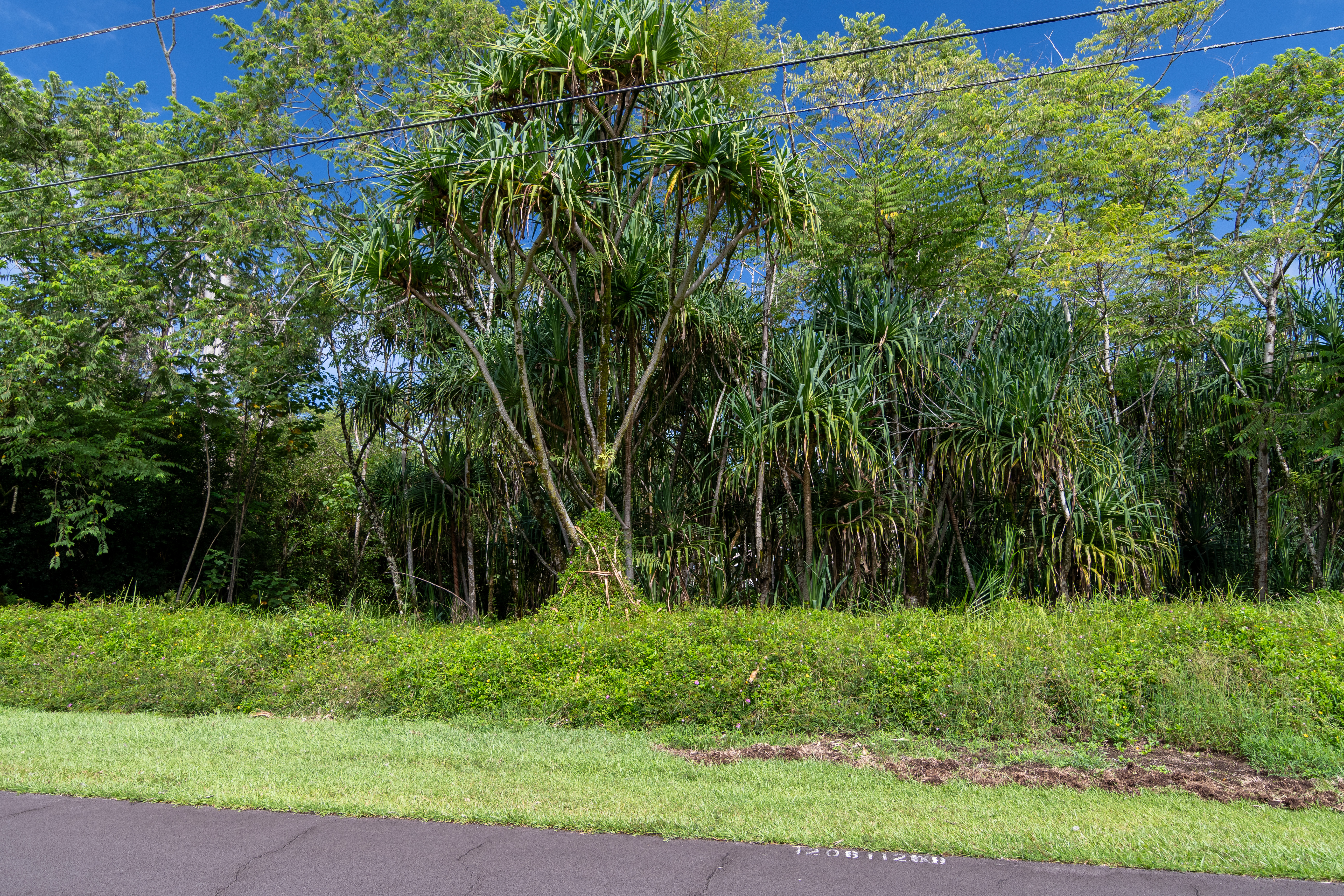 MANO ST Property Photo 1
