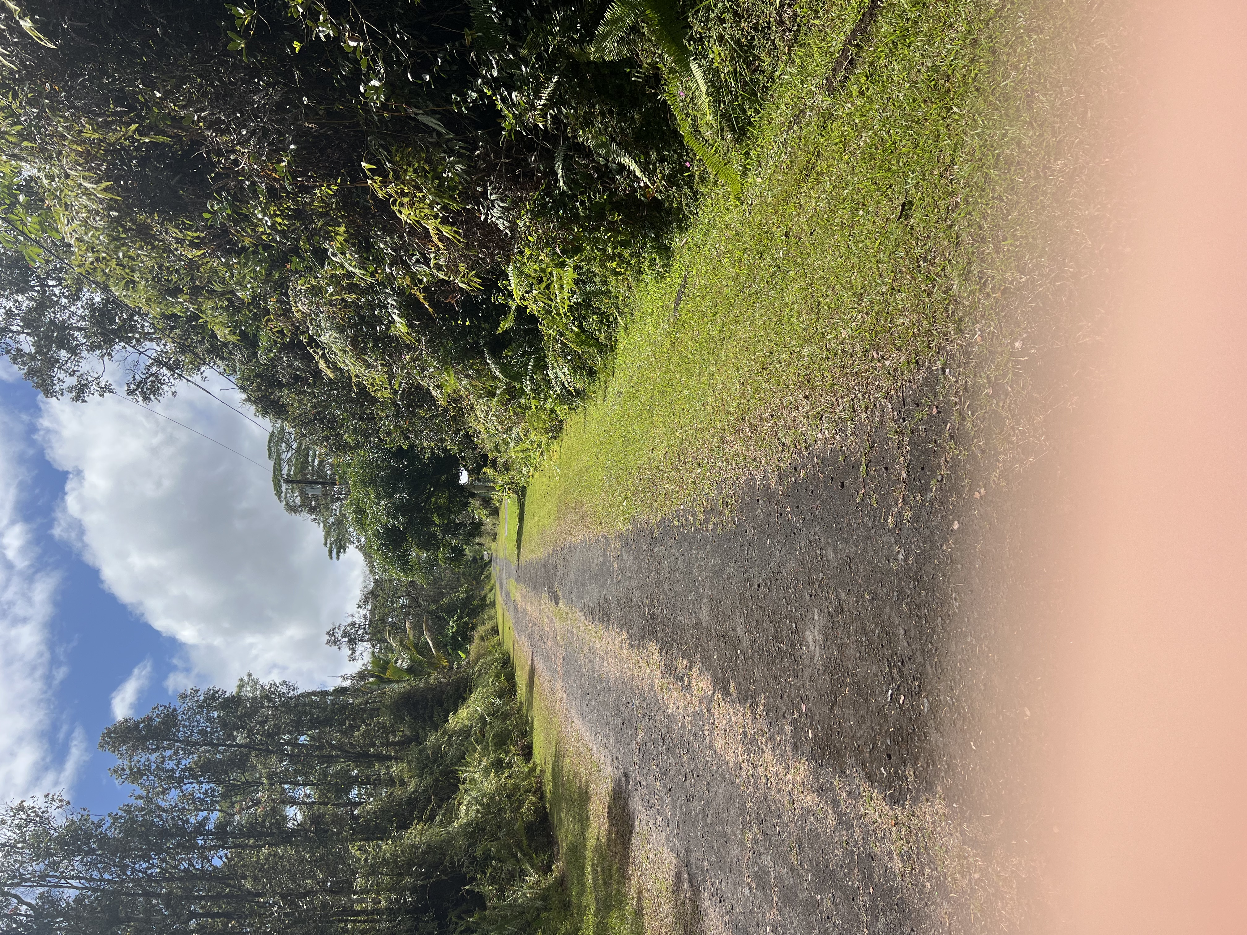 Pahoa Rd Property Photo 1