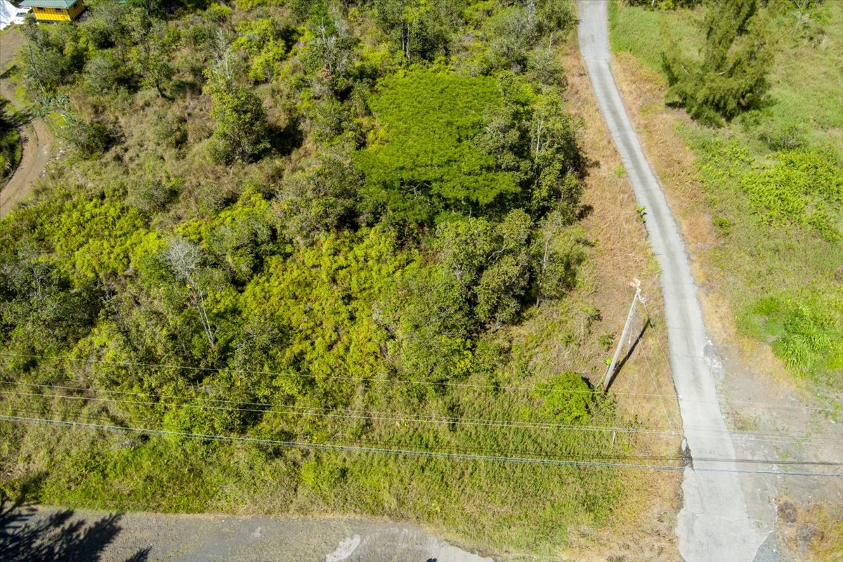 Road 9 (koloa Maoli) Property Photo