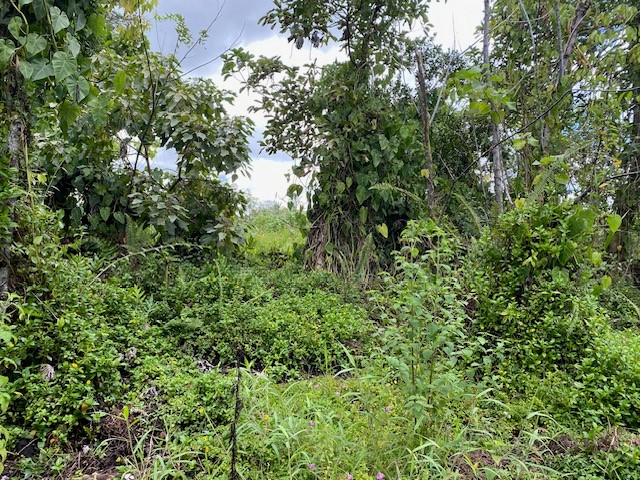 Opihikao Rd Lot B Property Photo 1