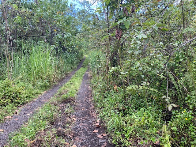 Opihikao Rd Lot B Property Photo 3