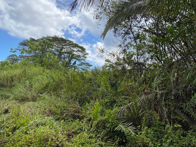 Opihikao Rd Lot B Property Photo 4