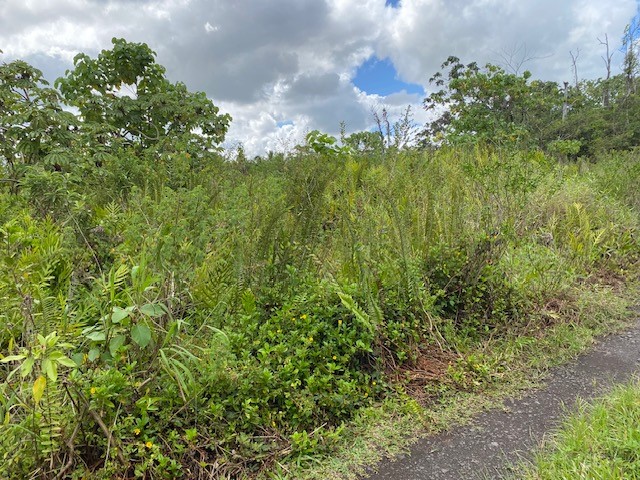 Opihikao Rd Lot B Property Photo 6