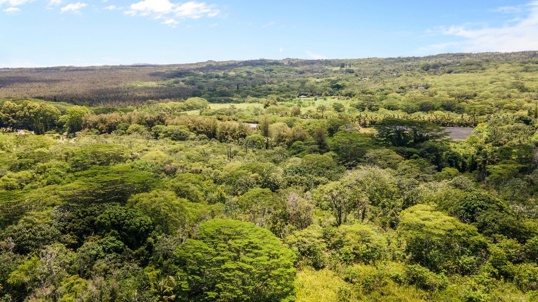 Opihikao Rd Lot B Property Photo 9