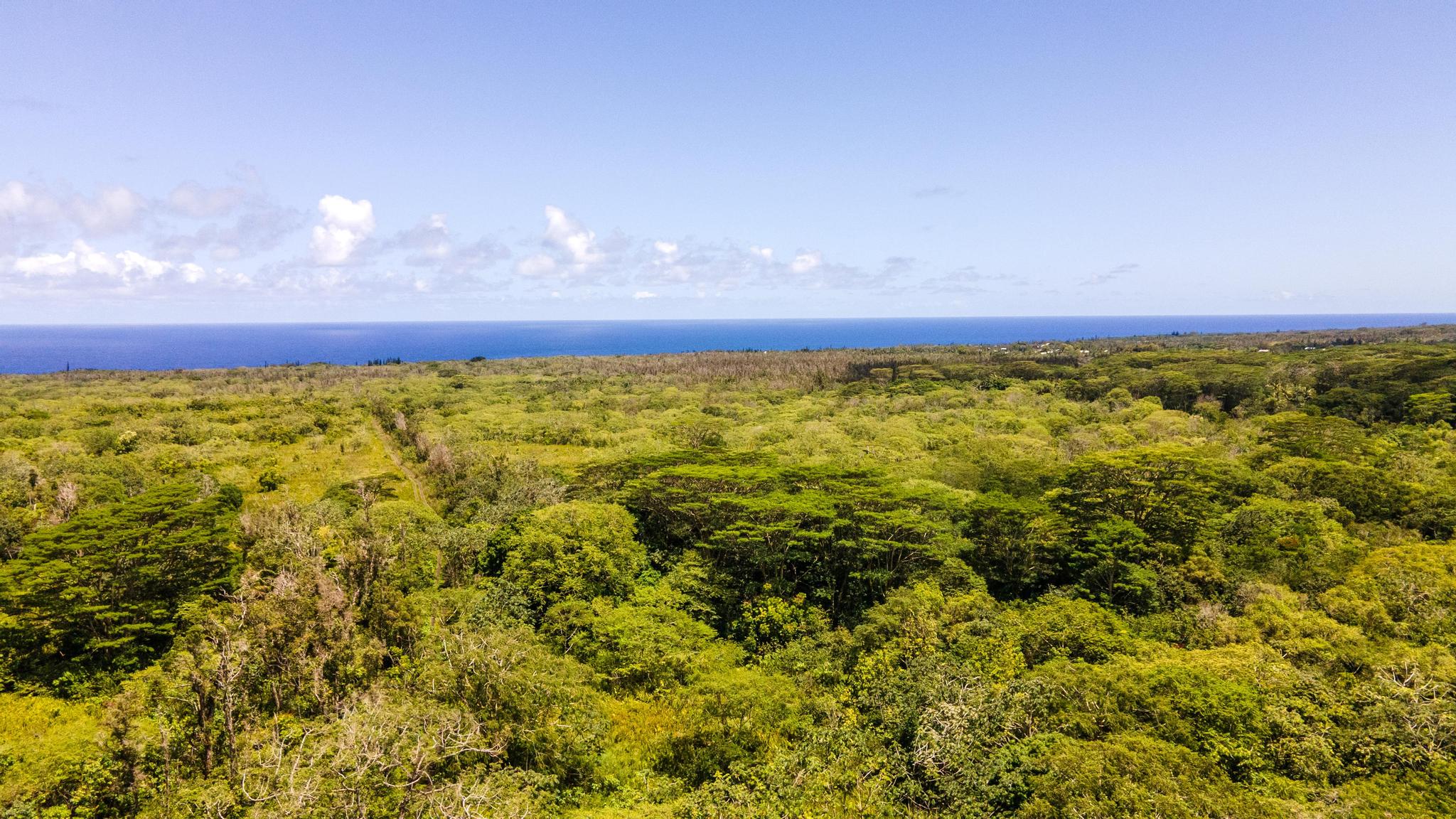 Opihikao Rd Lot B Property Photo 10