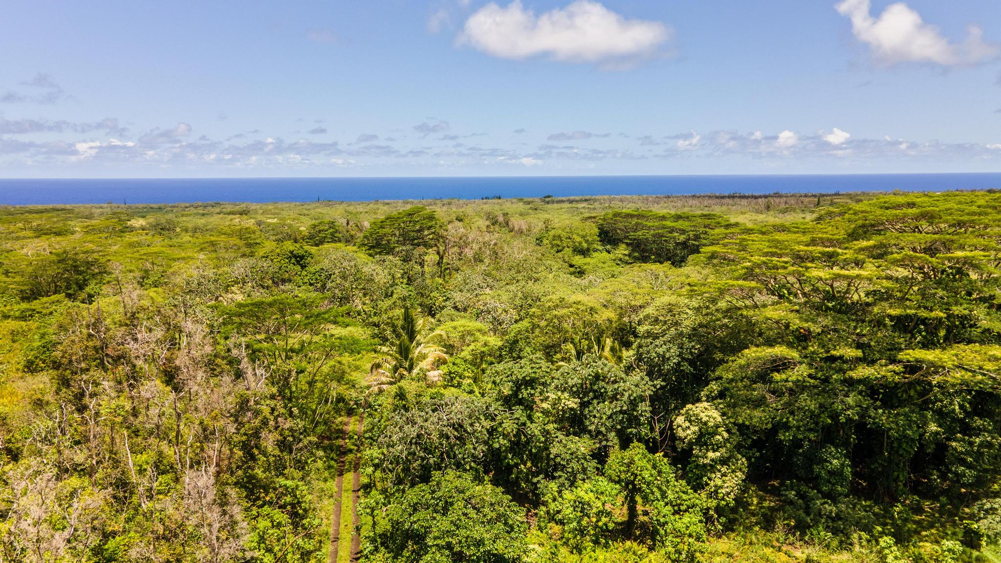 Opihikao Rd Lot B Property Photo 16