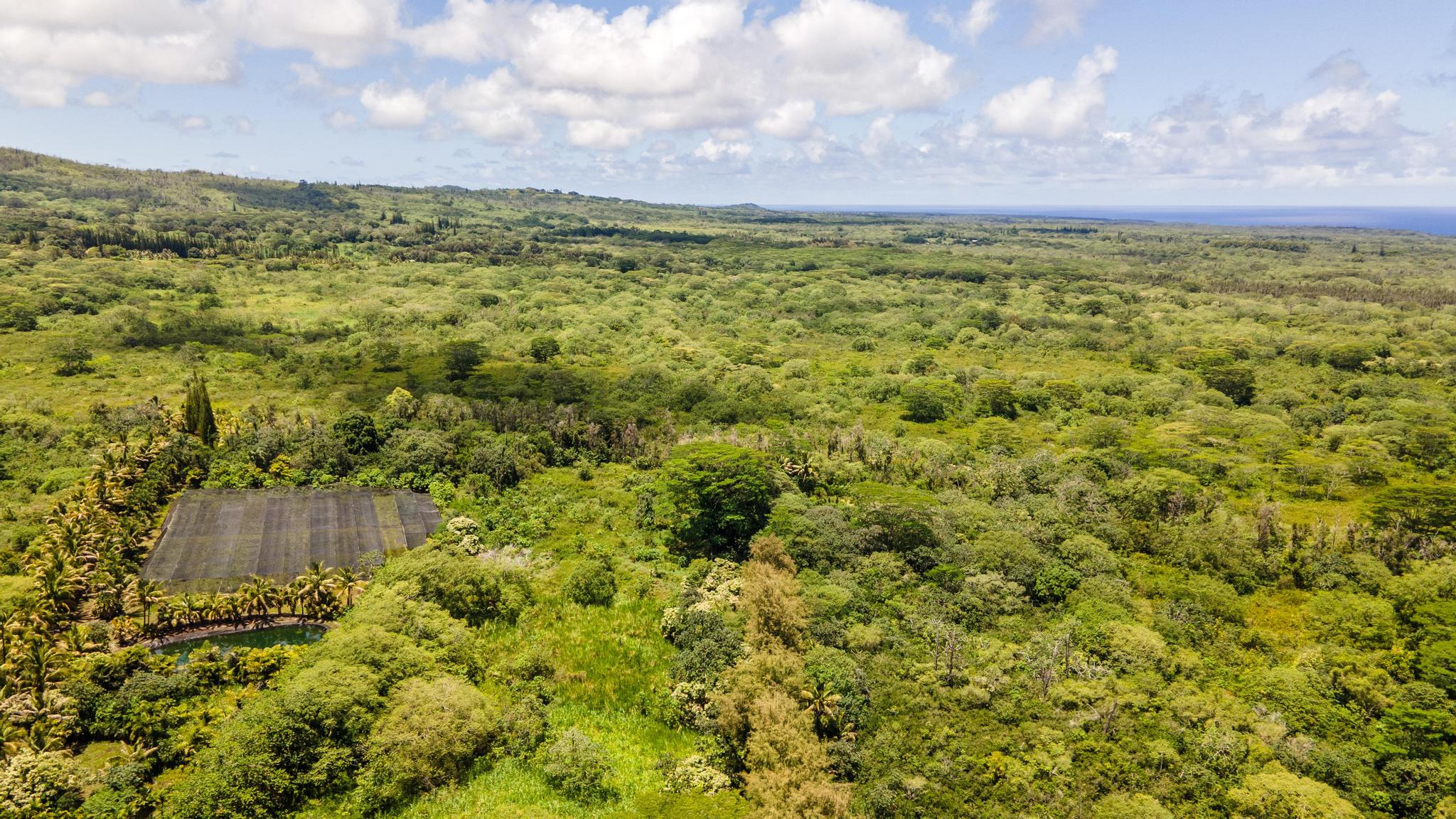 Opihikao Rd Lot B Property Photo 19