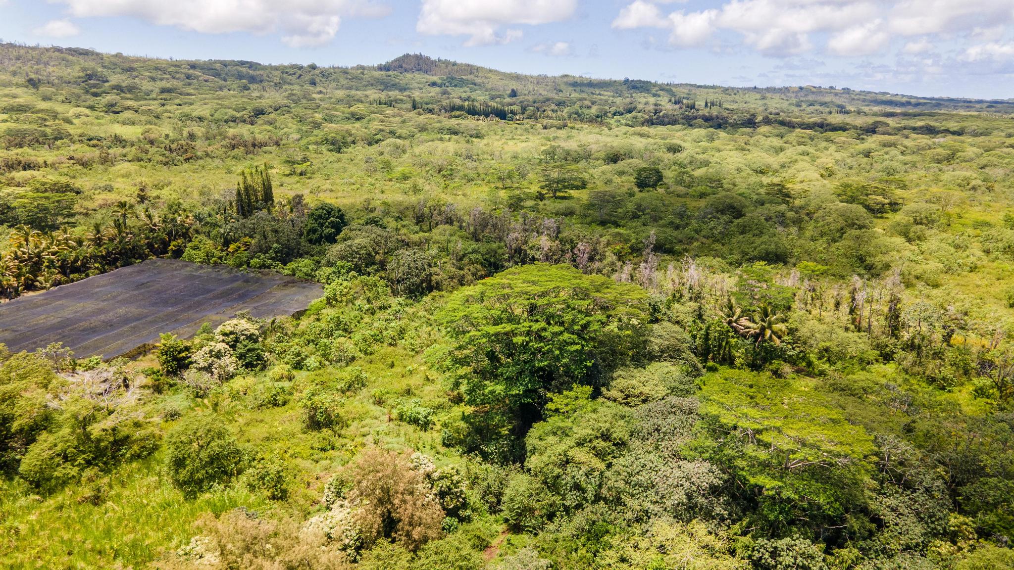 Opihikao Rd Lot B Property Photo 21