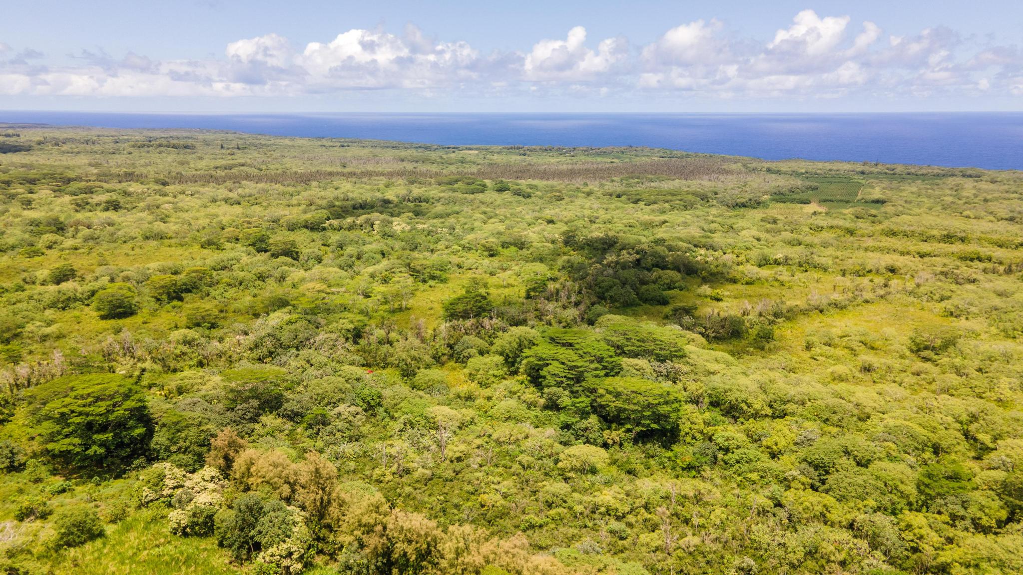 Opihikao Rd Lot B Property Photo 25
