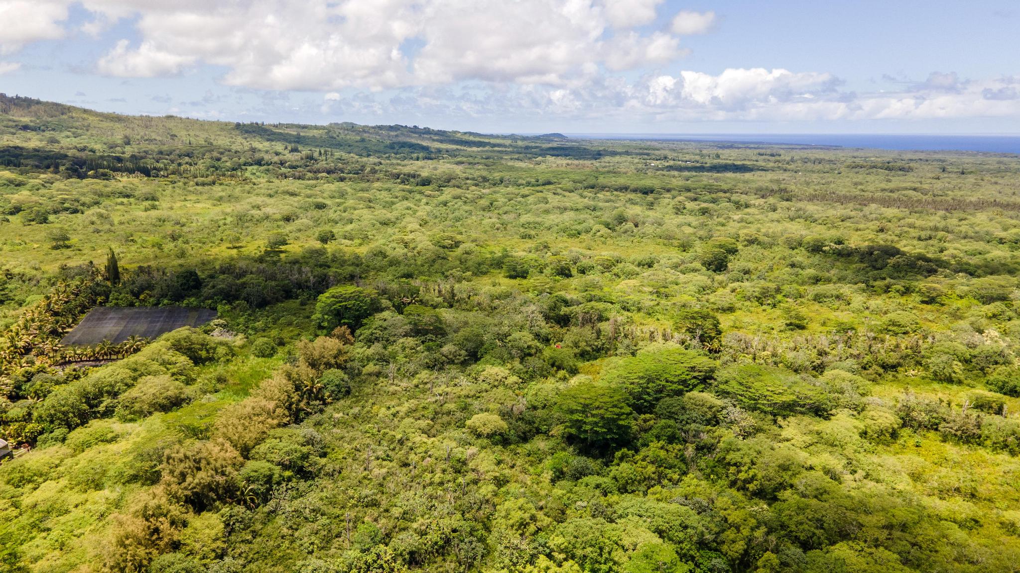 Opihikao Rd Lot B Property Photo 26
