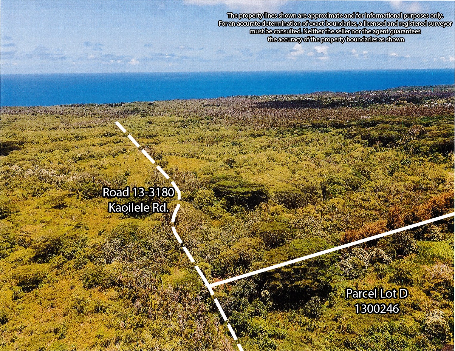 Opihikao Rd Lot B Property Photo 28