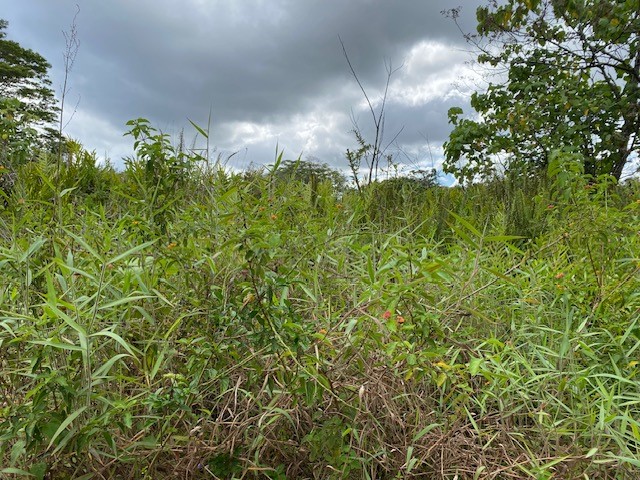 Opihikao Rd Lot 46 Property Photo 5