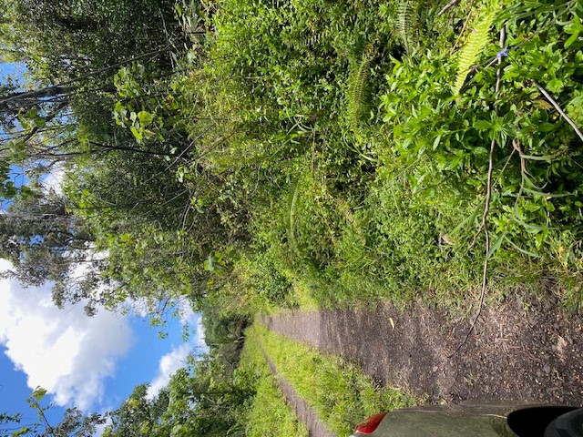 Opihikao Rd Lot 46 Property Photo 15