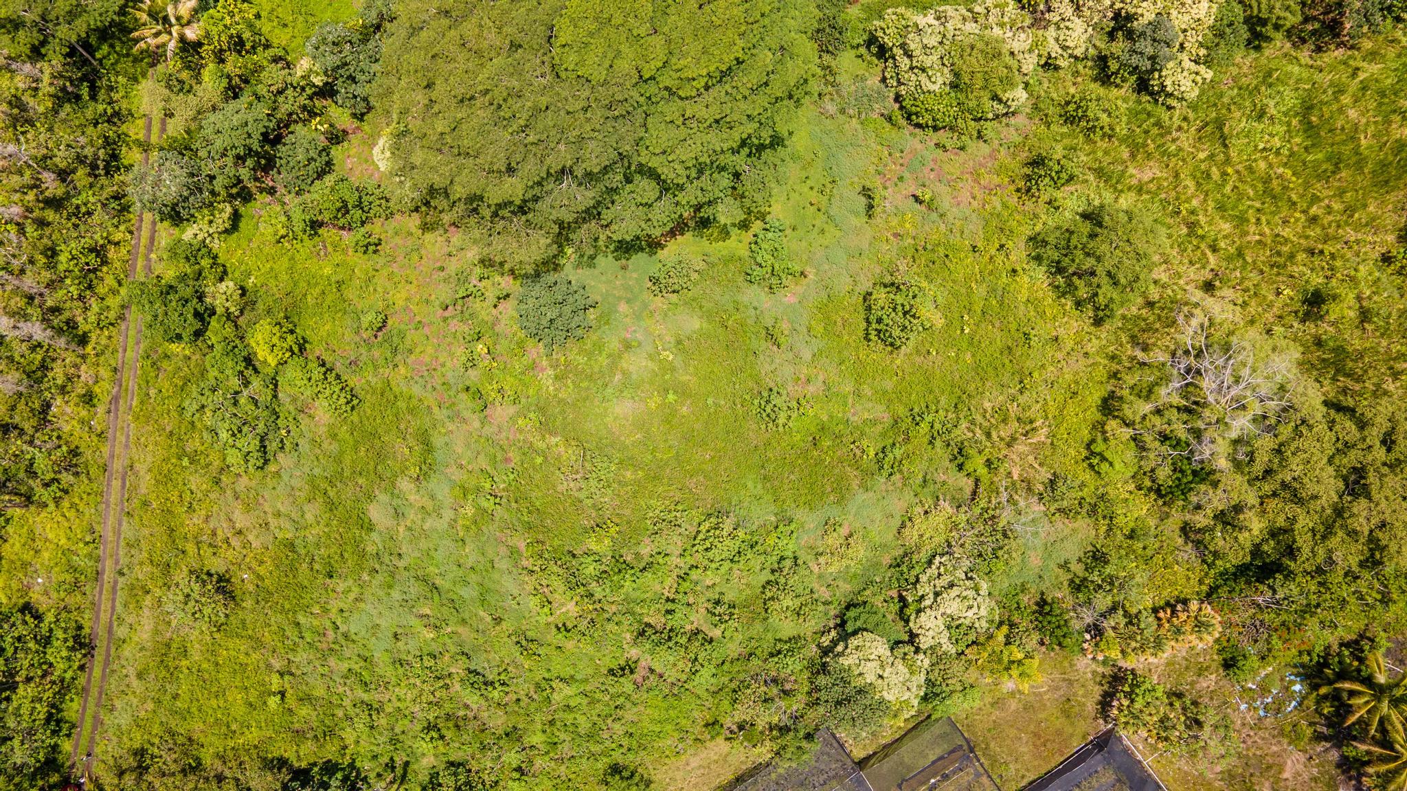 Opihikao Rd Lot 46 Property Photo 20