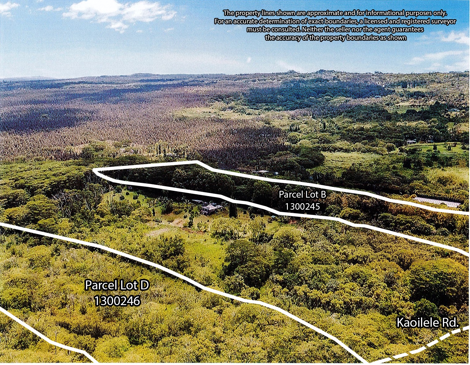 Opihikao Rd Lot 46 Property Photo 27