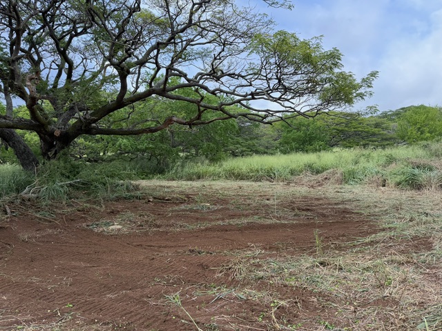 Punaluu Rd Property Photo 6