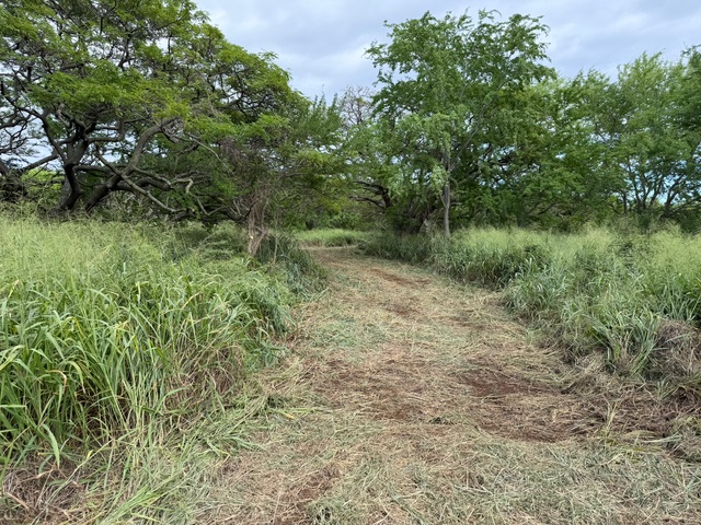 Punaluu Rd Property Photo 7
