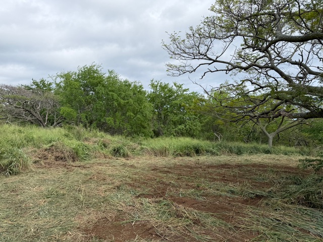 Punaluu Rd Property Photo 12