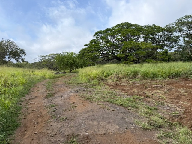 Punaluu Rd Property Photo 13
