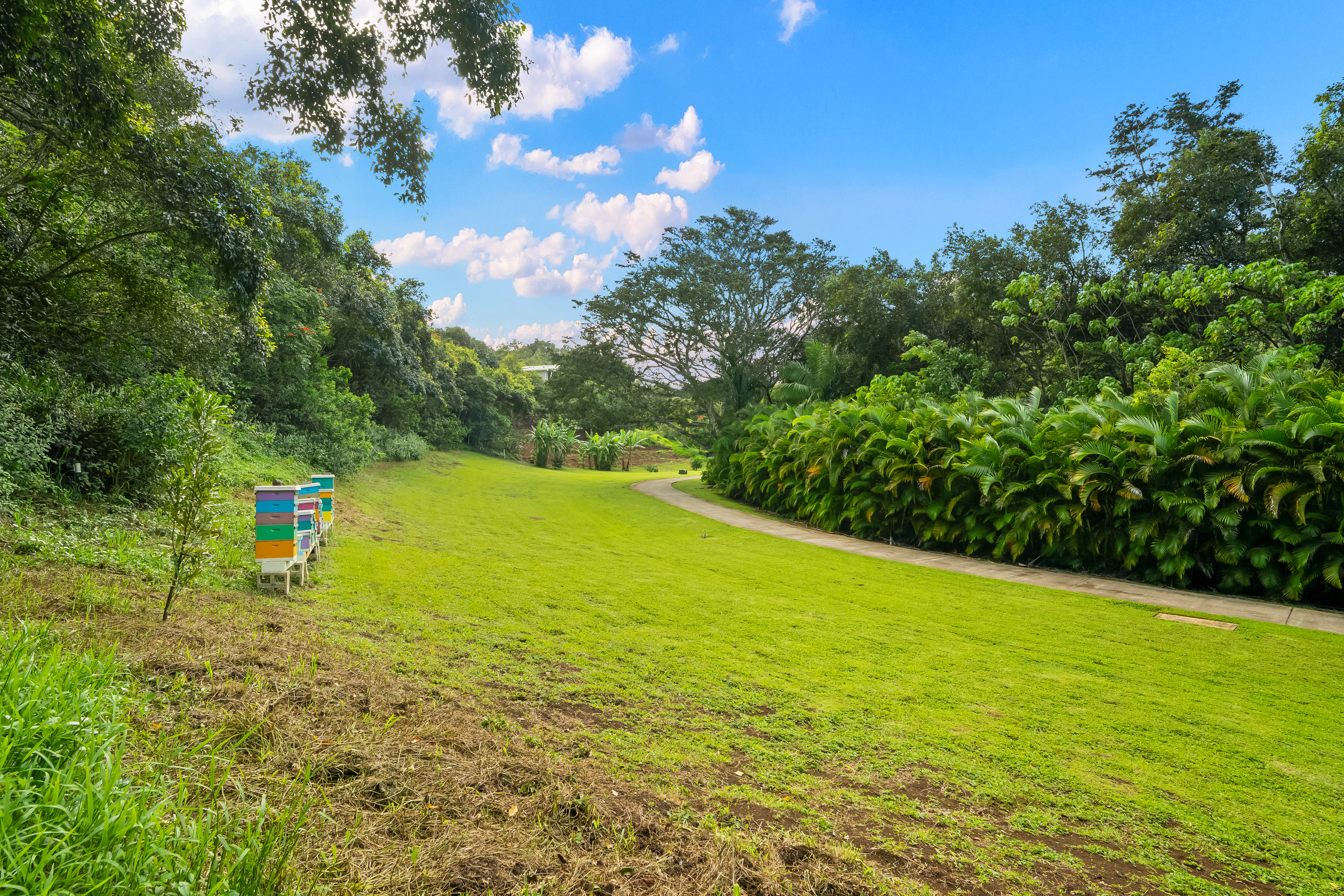 Umiumi Rd Property Photo 2
