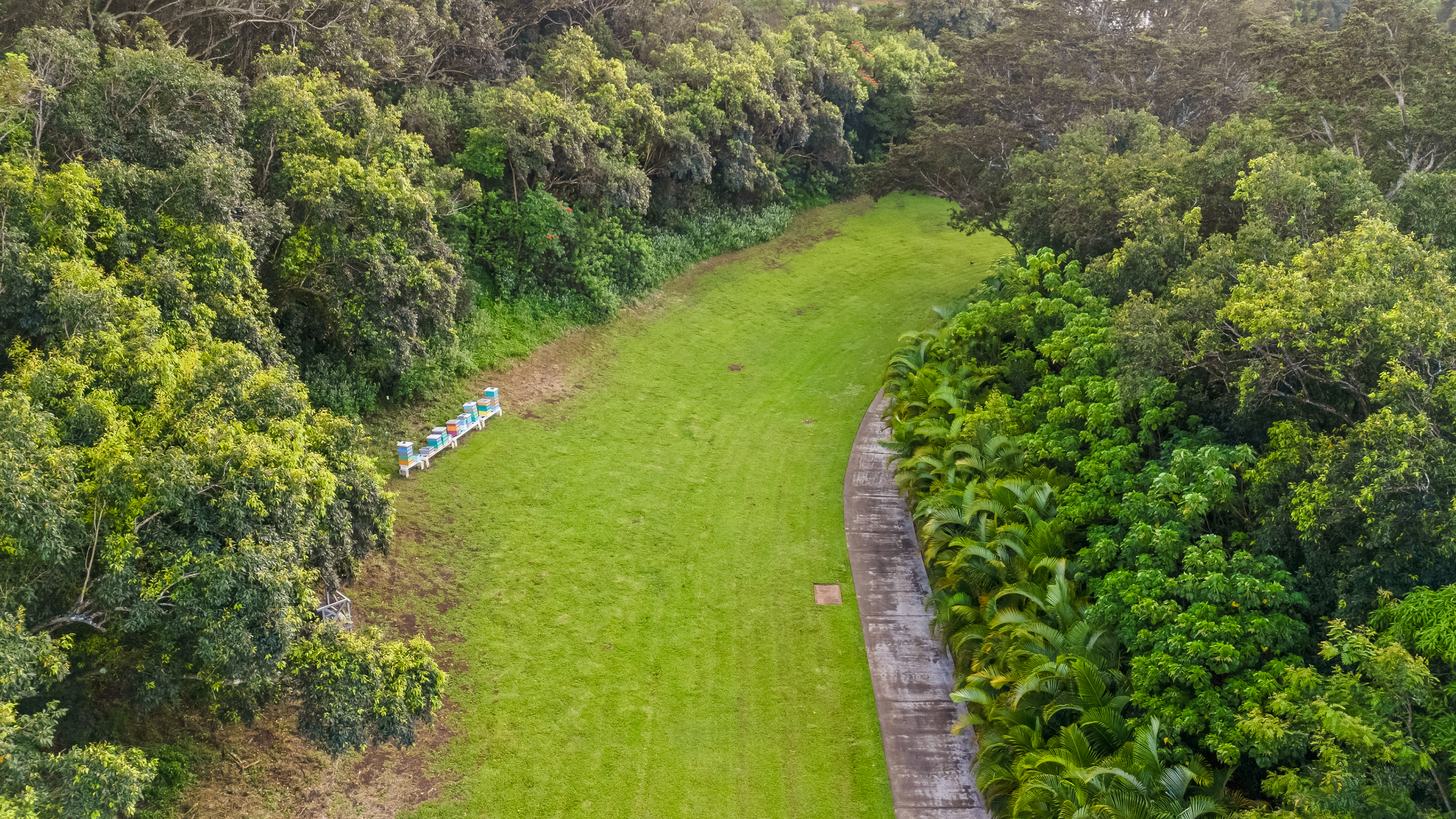 Umiumi Rd Property Photo 6