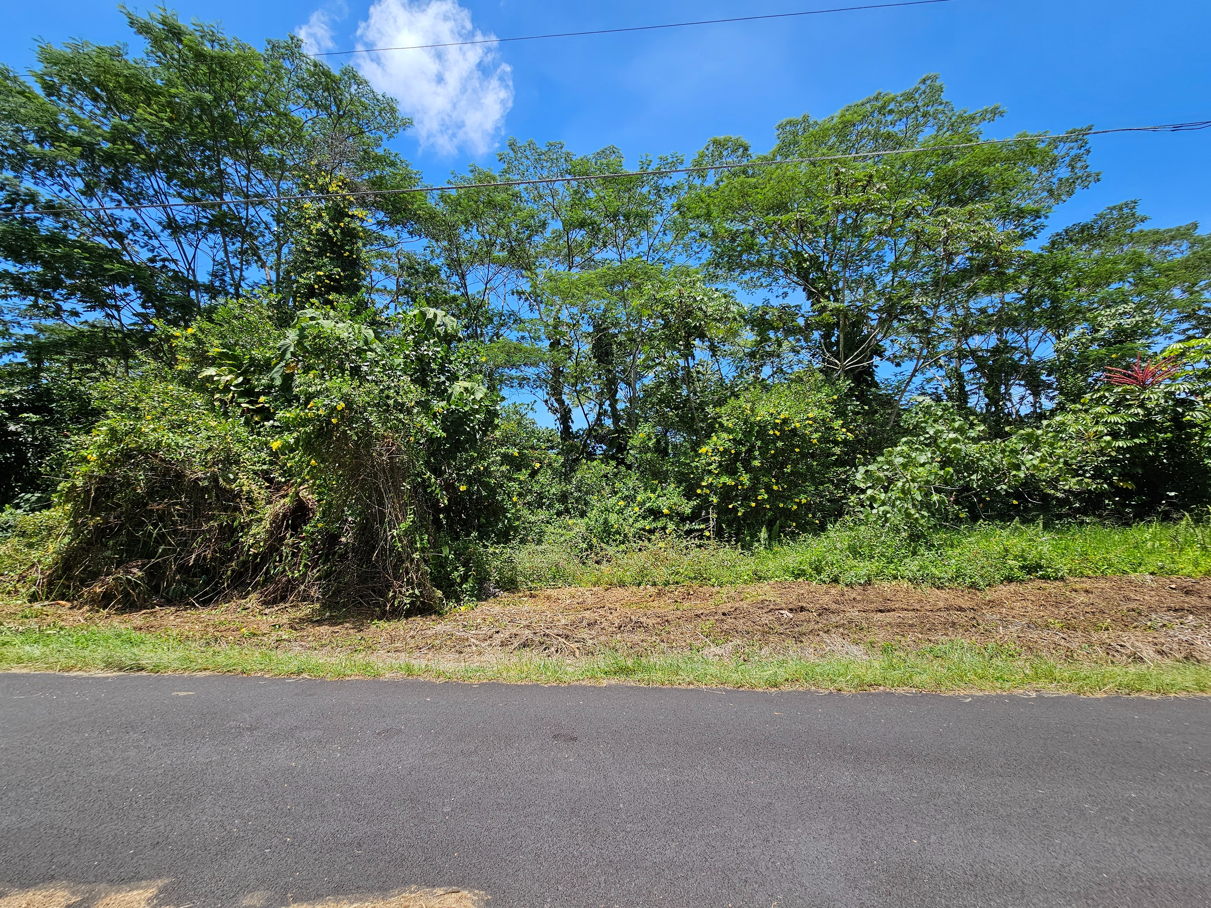Kawakawa St Property Photo 1