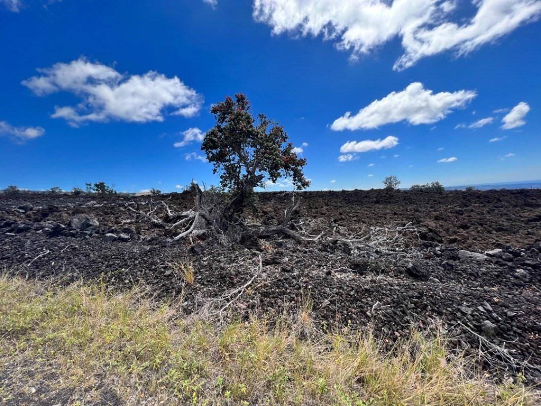 Hokulani Blvd Property Photo 7