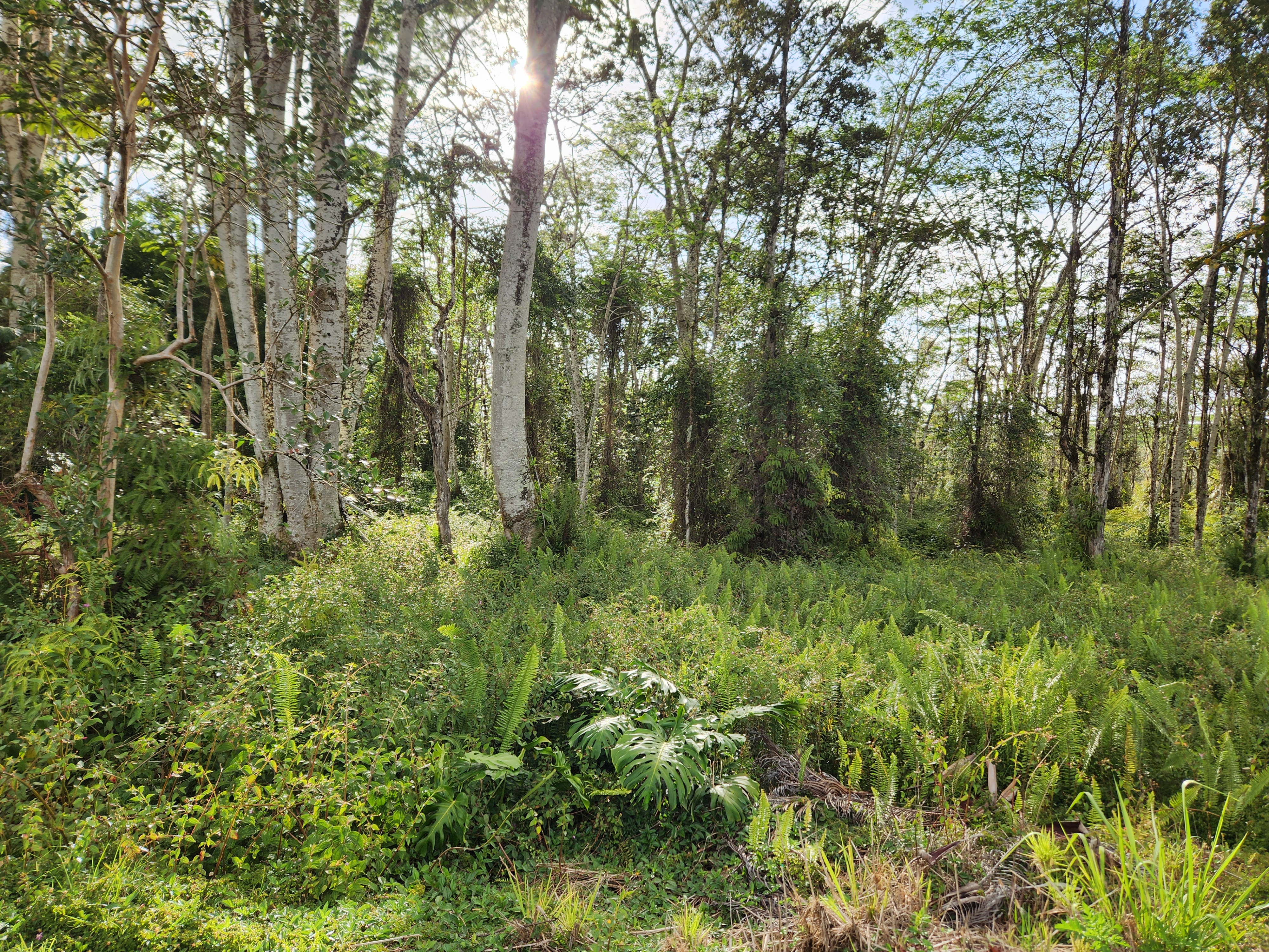 Kehau Rd Property Photo