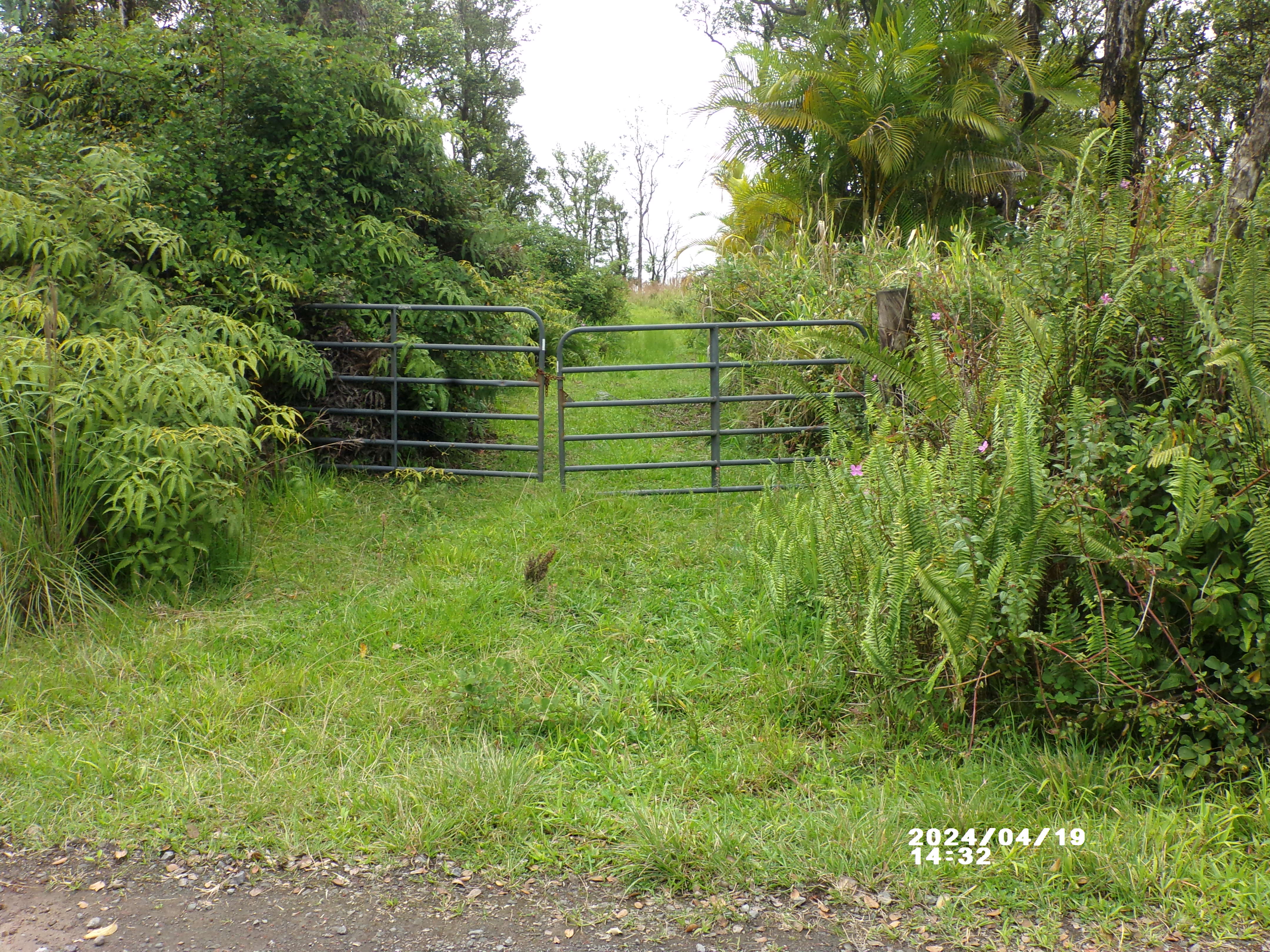 11-2202 Omeka Rd Property Photo