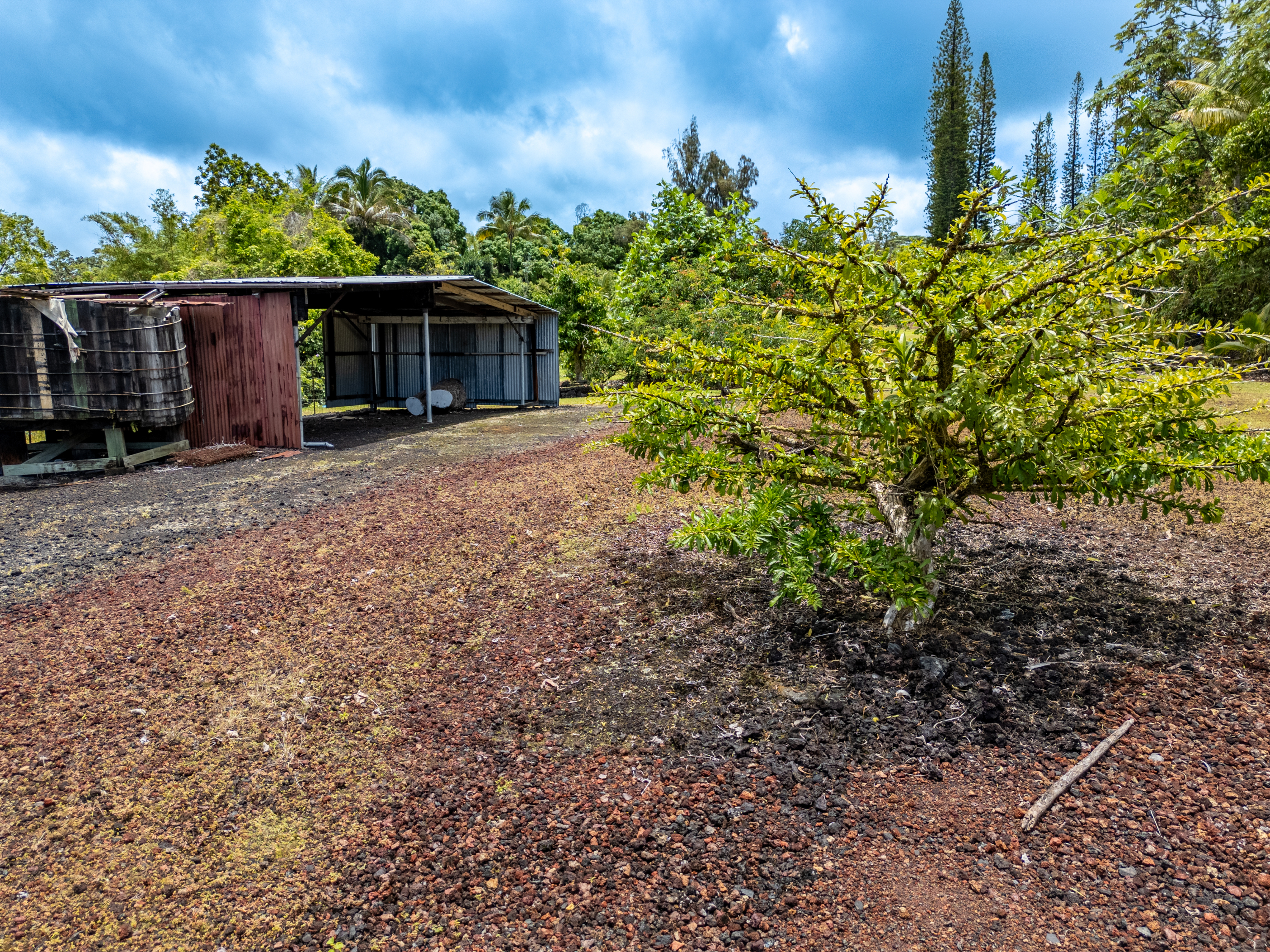 Kamaili Rd Property Photo 5