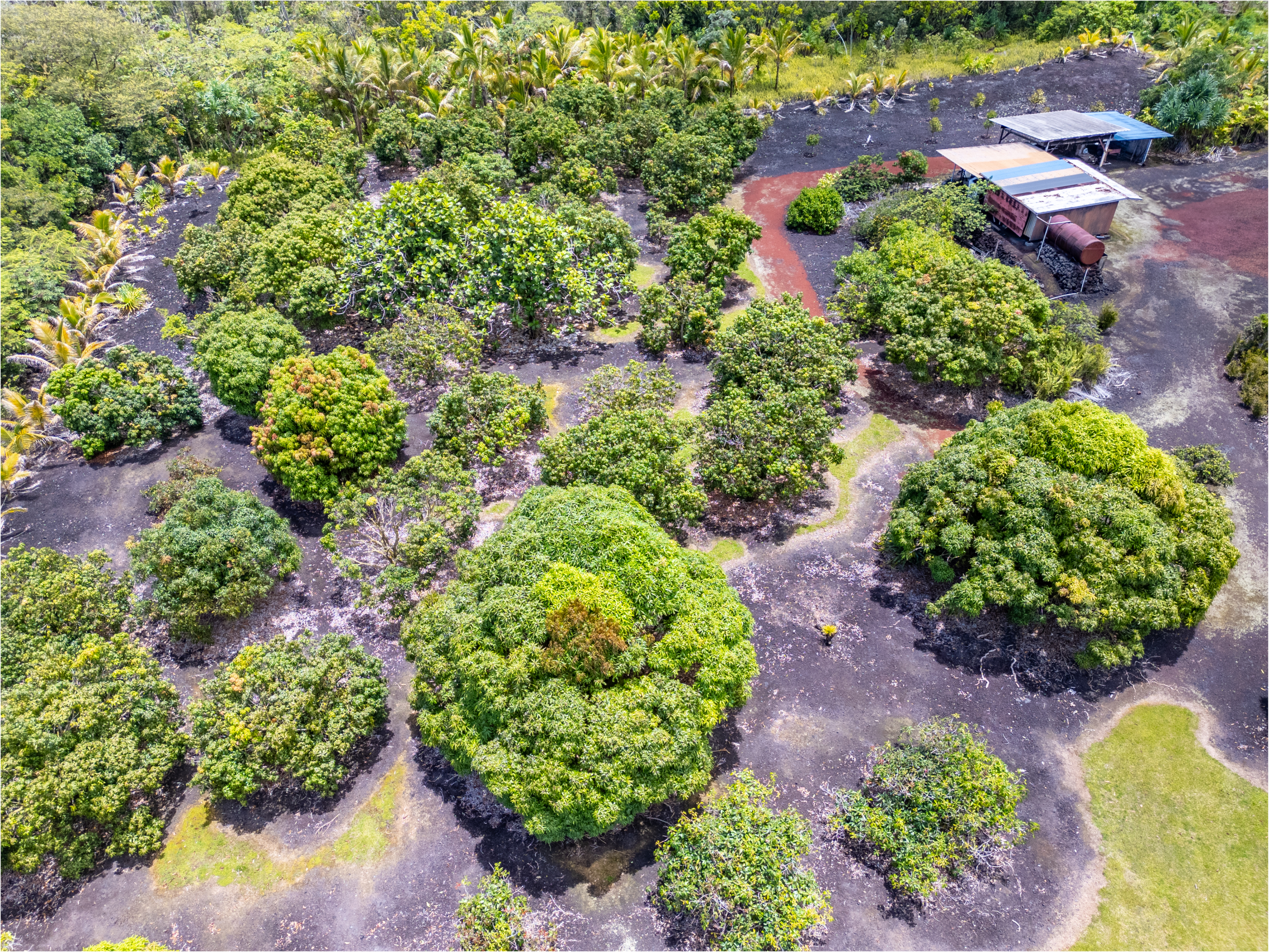 Kamaili Rd Property Photo 13
