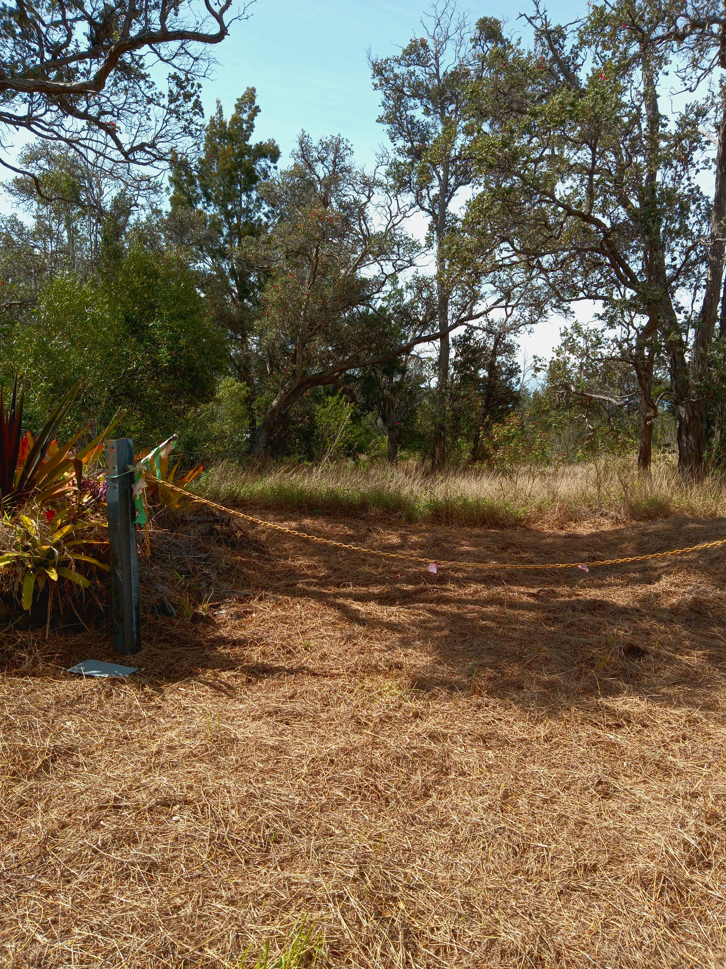 Coral Pkwy Property Photo 3
